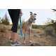Eine Person in schwarzen Leggings hält eine blaue Hundeleine, die an einem glücklichen Greyhound auf einem Schotterweg befestigt ist, umgeben von Bäumen.