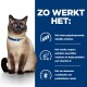 Een Siamees kat met blauwe ogen zit bij tekst over de voordelen van huisdierenvoer: gehydrolyseerde eiwitten, hoge vetzuren en prebiotische vezels.