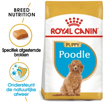 Royal Canin Puppy Poodle hondenvoerzak met een fluffy poedelpuppy, met tekst die de voeding voor het ras en de ondersteuning van het immuunsysteem benadrukt.