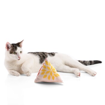 Eine weiße Katze mit grauen Flecken liegt neben einem bunten dreieckigen Katzenspielzeug mit einem gelben Blumenmuster.