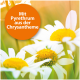 Nahaufnahme von weißen Gänseblümchen mit gelben Zentren, mit einem orangefarbenen Kreis, der 'Mit Pyrethrum aus der Chrysantheme' liest.