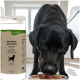 Schwarzer Hund frisst aus einer Schüssel neben einem Behälter mit Lecker.pet Barfer's Solution Complete Hunde-Nährstoffmischung.