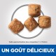 Quatre morceaux de croquettes brunes en cercle, avec un texte en dessous : "UN GOÛT DÉLICIEUX" et "Taille 7 x 17,5 mm."