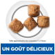 Quatre morceaux de croquettes brunes en cercle, avec un texte en dessous : "UN GOÛT DÉLICIEUX" et "Taille 7 x 17,5 mm."