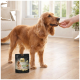 Złoty cocker spaniel je smakołyk z ręki; na podłodze torba Select Gold Sensitive Snacks (dla dorosłych).