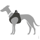 Illustration eines grauen Hundes, der ein schwarzes Geschirr trägt, das das Design und die Passform des Geschirrs am Körper des Hundes zeigt.