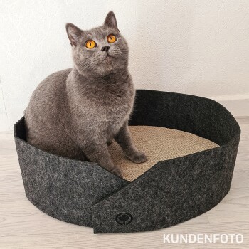 Eine graue Katze mit leuchtend orangefarbenen Augen sitzt in einem runden, dunklen Filz-Katzenbett mit einem strukturierten beigen Boden, vor einer hellen Wand.