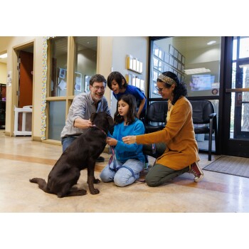 Eine Familie interagiert mit einem braunen Labrador in einem Tiergeschäft; ein Kind hält die Leine, während ein anderes und ein Erwachsener den Hund streicheln.