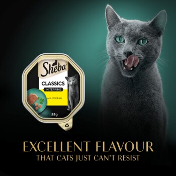 Sheba Classics Terrine cat food with chicken, 85g packaging shows a cat and reads, "Excellent flavour that cats can't resist."