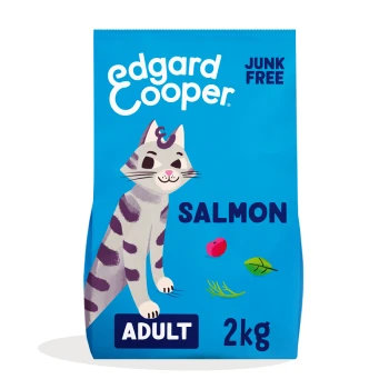 Blue cat food bag featuring a playful illustrated cat, labeled "SALMON," "ADULT," and "2kg," with "JUNK FREE" prominently displayed.