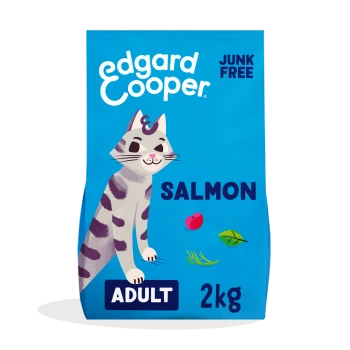 Blue cat food bag featuring a playful illustrated cat, labeled "SALMON," "ADULT," and "2kg," with "JUNK FREE" prominently displayed.