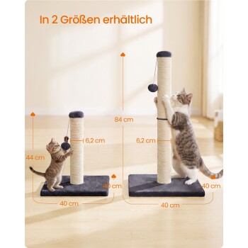 Zwei Kratzpfosten mit Kätzchen und erwachsener Katze, beschriftete Maße und Text 'In 2 Größen erhältlich' (44 cm, 84 cm, 6,2 cm, 40 cm).