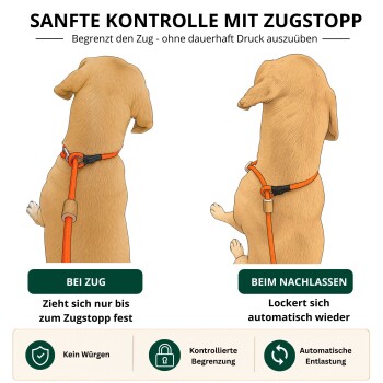 Rosa verstellbare Schleppleine mit Holzknopf und schwarzen Verstärkungen, vor weißem Hintergrund.