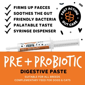 PRE+PROBIOTIC Verdauungspaste-Spritze für Hunde und Katzen — verfestigt den Kot, beruhigt den Darm, freundliche Bakterien; 'Schnell wirkende Darmpflege'