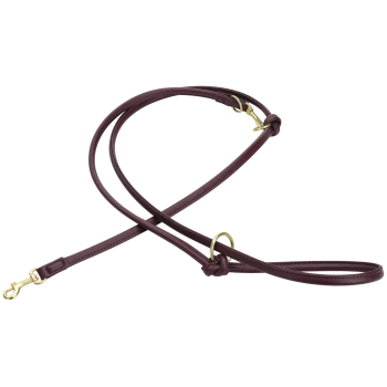 Burgundy leather dog leash with brass snap hooks and O-ring, adjustable loop-style design