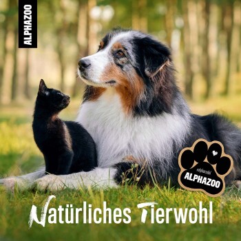Ein Australian Shepherd sitzt neben einer schwarzen Katze in einem grünen Wald, mit 'Natürliches Tierwohl' und dem ALPHAZOO-Pfotenabdruck-Logo darunter.