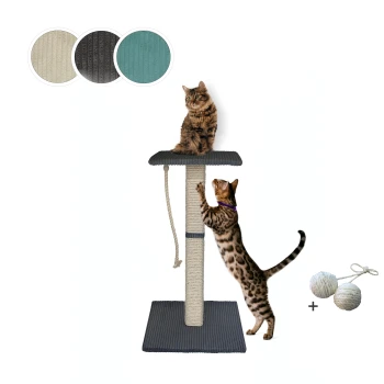 Zwei verspielte Katzen auf einem mehrstöckigen Kratzbaum, eine sitzt oben und die andere klettert. Farbproben oben zeigen verfügbare Optionen.
