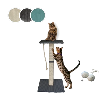 Zwei verspielte Katzen auf einem mehrstöckigen Kratzbaum, eine sitzt oben und die andere klettert. Farbproben oben zeigen verfügbare Optionen.