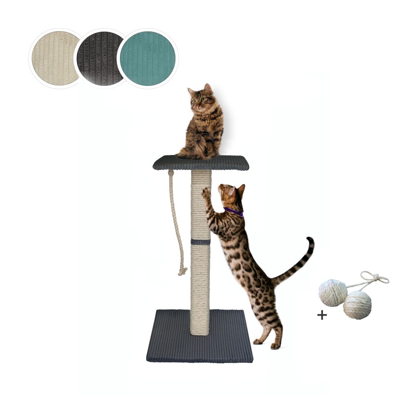 Rohrschneider ® Katzenbaum Emmi mit Vollholz-Holm und Gratis-Beigabe dunkelgrau 45 cm, 45 cm, 77 cm
