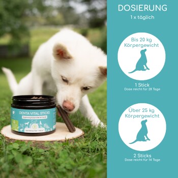 DENTA VITAL STICKS für Hunde, in einem schwarzen Behälter mit einem türkisfarbenen Etikett, das 100% natürliche Zutaten, Minze und Anis hervorhebt.