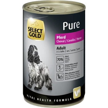 Select gold puppy food best sale