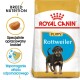 Torba z jedzeniem Royal Canin dla szczeniąt rasy Rottweiler z obrazkiem szczeniaka Rottweilera, z tekstem podkreślającym odżywianie rasy i wsparcie odporności.