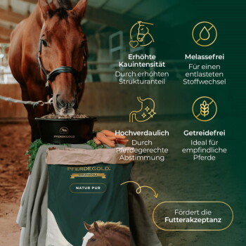 Pferd frisst aus einer Schüssel mit Pferdegold Goldmüsli Natur Pur neben dem Beutel; Erhöhte Kauintensität, Melassefrei, Getreidefrei.
