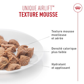 Assiette de morceaux de mousse brune pour animaux ; texte « UNIQUE AIRLIFT™ TEXTURE MOUSSE » et notes en français : texture, moins de calories, hydratant.