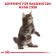 Illustration eines Maine Coon Kätzchens, das aufrecht steht, mit dem Text "SORTIMENT FÜR RASSEKATZEN: MAINE COON" darüber.