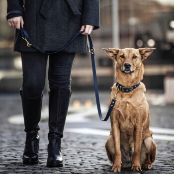 Eine Person in einem dunklen Mantel und kniehohen Stiefeln steht auf einer Kopfsteinpflasterstraße und hält eine Leine, die an einem sitzenden braunen Hund befestigt ist.