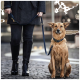 Eine Person in einem dunklen Mantel und kniehohen Stiefeln steht auf einer Kopfsteinpflasterstraße und hält eine Leine, die an einem sitzenden braunen Hund befestigt ist.