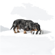 Ein schwarz-brauner Dackel mit einer Fliege isst aus einer stilvollen schwarz-weiß gestreiften Futterschüssel auf einem weißen Hintergrund.