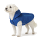 Ein französischer Bulldogge trägt eine leuchtend blaue Daunenjacke mit Kapuze und schaut mit einem neugierigen Ausdruck auf einem weißen Hintergrund nach oben.