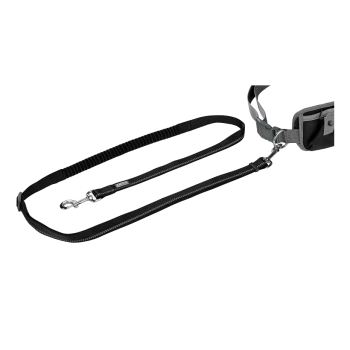 Schwarze Hundeleine mit einem gepolsterten Griff und einem Bungee-Abschnitt für zusätzlichen Komfort, mit einem Metallclip zur Befestigung.