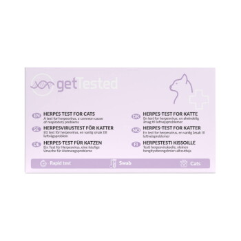 Rosa getTested-Schachtel für Katzen-Herpes-Test, beschriftet mit 'HERPES TEST FOR CATS', mit Katzenumriss und 'Rapid test • Swab • Cats'