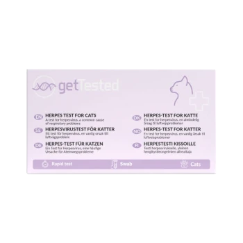 Rosa getTested-Schachtel für Katzen-Herpes-Test, beschriftet mit 'HERPES TEST FOR CATS', mit Katzenumriss und 'Rapid test • Swab • Cats'
