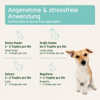 Bild eines kleinen Hundes mit Anweisungen zur Ohrentropfenanwendung: kleine Hunde 2-3 Tropfen, große Hunde bis zu 5, Katzen 2-3, Nagetiere 1-2.