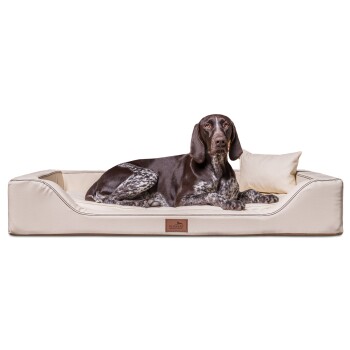 ® Orthopädisches LUXUS-Hundebett MELODY LATEX Soft Kunstleder Velours beige 1,5 m, 22 cm, 1 m