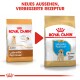 Vergleich von Royal Canin Hundefutter: Junior Labrador Retriever links, Puppy Labrador Retriever rechts, mit neuem Verpackungstext.