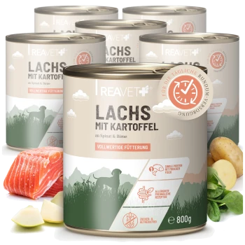 Reavet Dosenfutter mit Aufschrift 'LACHS MIT KARTOFFEL', 'VOLLWERTIGE FÜTTERUNG', 800 g, mit Bildern von Lachs, Kartoffel und Spinat.