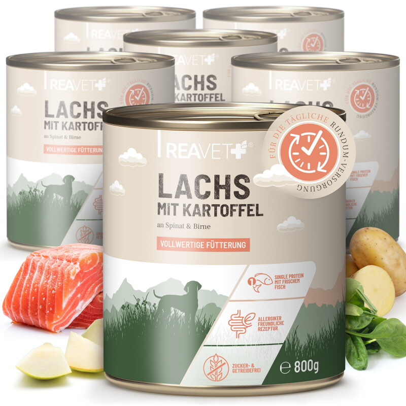 REAVET Hundenassfutter - Lachs mit Kartoffeln an Spinat & Birne | 6 x 800g