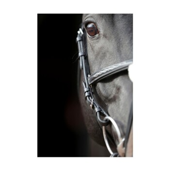 Nahaufnahme des Auges und des Zaumzeugs eines Pferdes, das das dunkle Fell und die Lederriemen zeigt, mit einem verschwommenen dunklen Hintergrund.