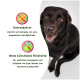 Schwarzer Labrador Retriever neben deutschem Text über getreidefreies und ohne künstliche Füllstoffe hergestelltes Tierfutter.