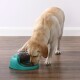 Dog Spin N' Eat Intelligenzspielzeug