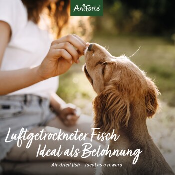 Trixie Trockenfisch-Sprotten 400g Ab 10,90 € | Preisvergleich