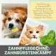Zahnpflegespray für Haustiere, mit einer verspielten orangefarbenen Katze, die eine Zahnbürste hält, mit Minzblättern und Text zur Förderung einer einfachen Zahnhygiene.