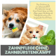 Zahnpflegespray für Haustiere, mit einer verspielten orangefarbenen Katze, die eine Zahnbürste hält, mit Minzblättern und Text zur Förderung einer einfachen Zahnhygiene.