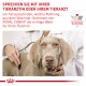 ® Veterinary RENAL SELECT 2 kg