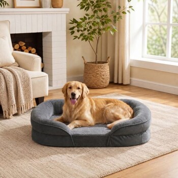 Golden Retriever liegt auf grauem Hundebett mit erhöhtem Rand in einem hellen Wohnzimmer mit Kamin und Zimmerpflanze