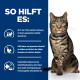 Getigerte Katze mit blauem Halsband rechts; linker blauer Bereich mit der Überschrift 'SO HILFT ES:' und deutschen Abnehm-Tipps sowie Symbolen.